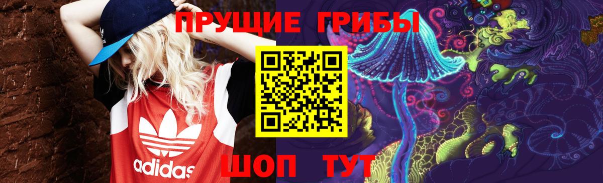 Галлюциногенные грибы Psilocybe  Псилоцибиновые грибы GOLDEN TEACHER  Вход с VPN  Киров 